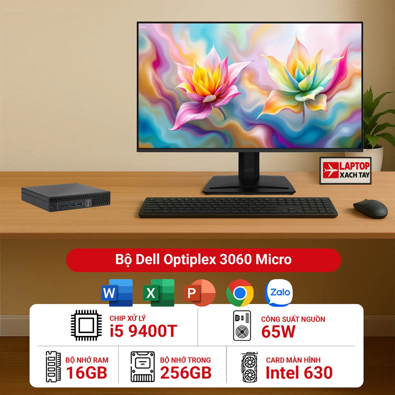 Máy tính bộ Dell Optiplex 3060 Micro 16GB 256GB - Avatar